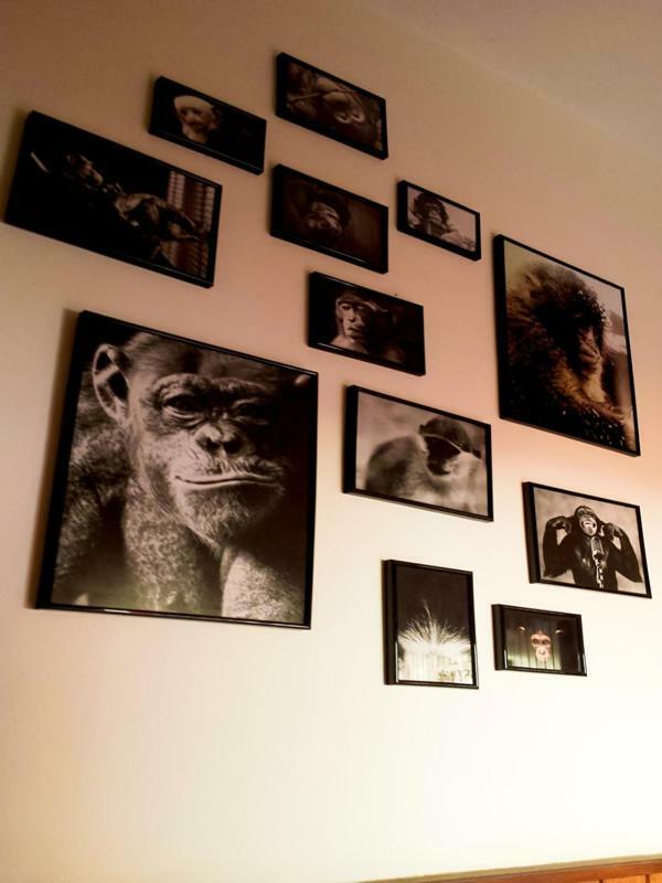 The Mellow Monkey Hostel Zadar Buitenkant foto